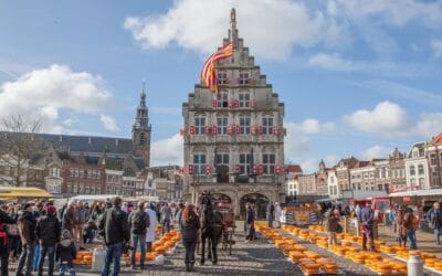 Keuken Wrappen in Gouda